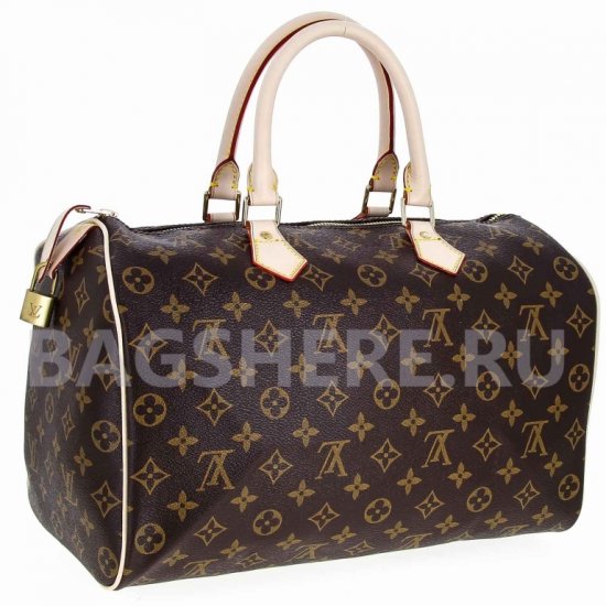 Женская сумка Louis Vuitton (Луи Виттон) B100731