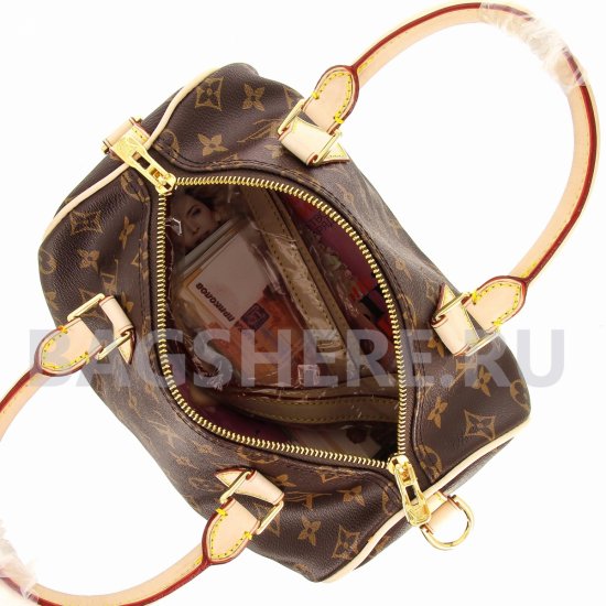 Женская сумка Louis Vuitton (Луи Виттон) B100963 