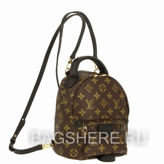 Женский рюкзак Louis Vuitton B101910 