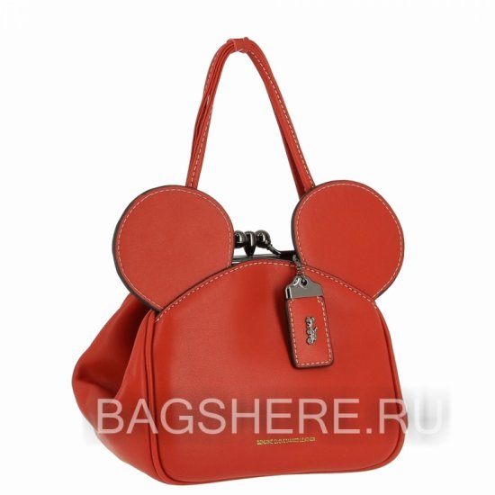 Женская сумка Coach (2003  B102008 