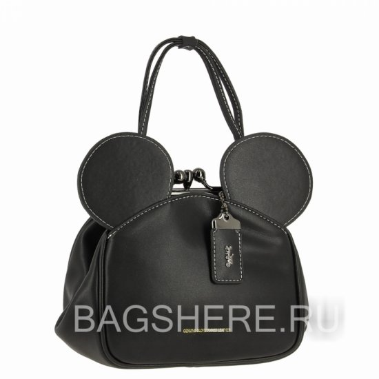 Женская сумка Coach (2004  B102009 