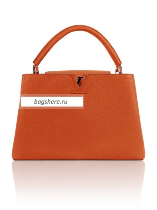 Женская сумка Louis Vuitton (Луи Виттон) B100354 