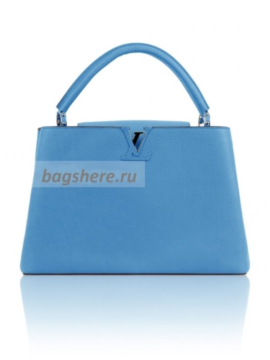 Женская сумка Louis Vuitton (Луи Виттон) B100356 