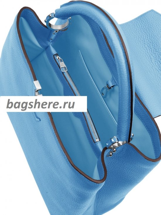 Женская сумка Louis Vuitton (Луи Виттон) B100356 
