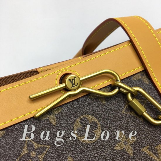 Женская сумка Louis Vuitton (Луи Виттон) BЭ1105513