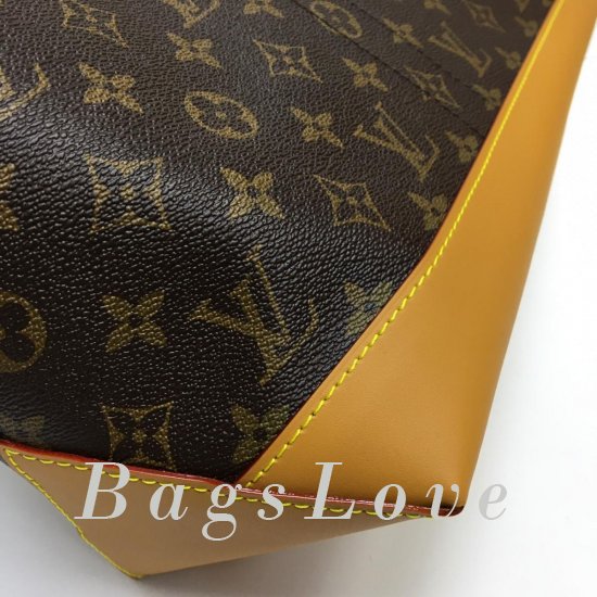 Женская сумка Louis Vuitton (Луи Виттон) BЭ1105513