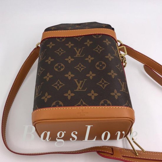 Женская сумка Louis Vuitton (Луи Виттон) B105949