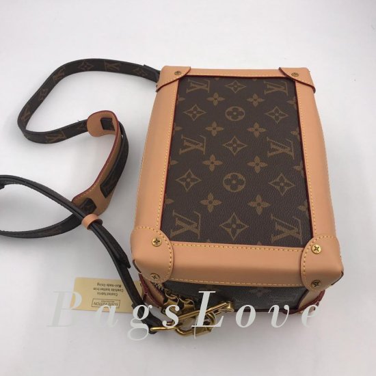 Женская сумка Louis Vuitton (Луи Виттон) B105981