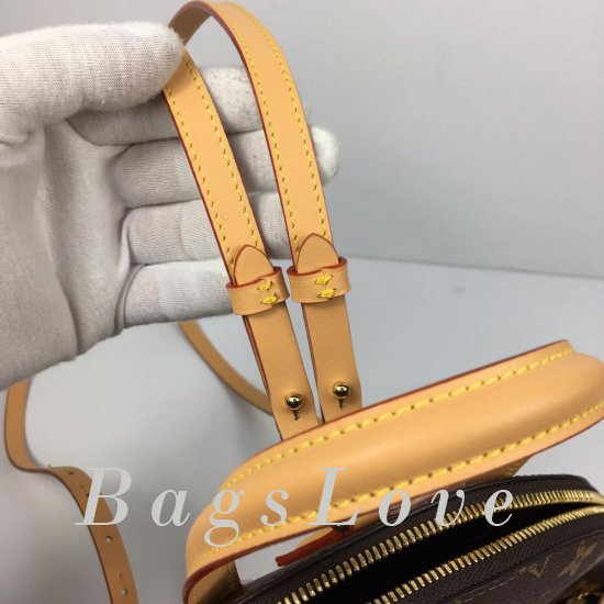 Женский рюкзак Louis Vuitton BЭ1105531