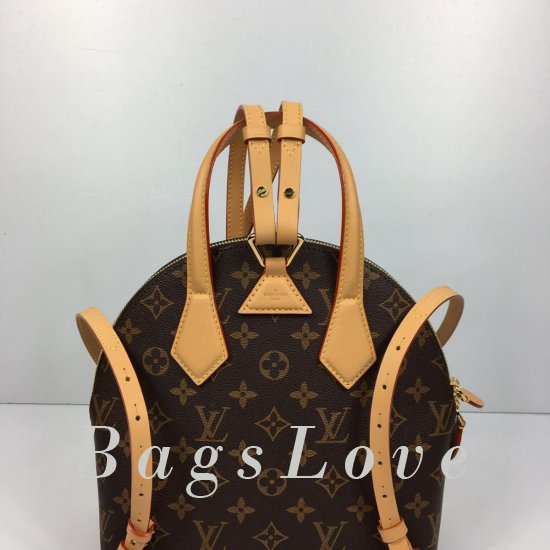 Женский рюкзак Louis Vuitton BЭ1105531