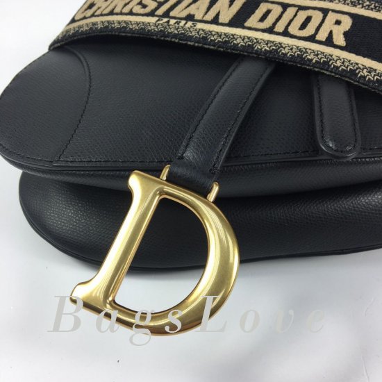 Женская сумка Christian Dior (Кристиан Диор) BЭ1105532