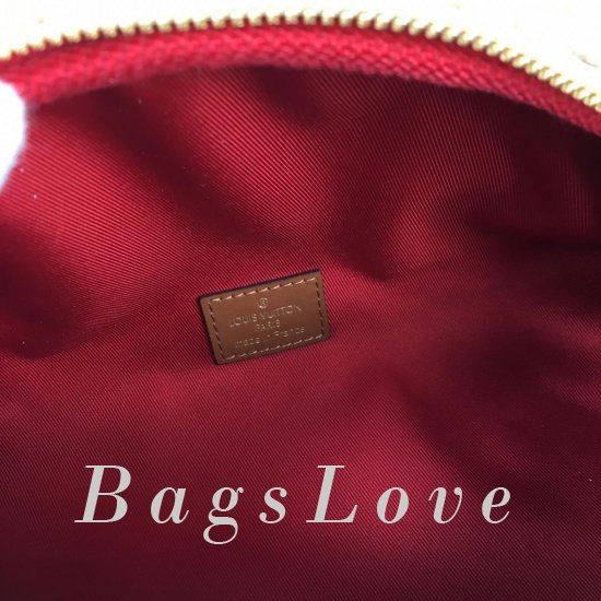 Женская сумка Louis Vuitton (Луи Виттон) BЭ1105538