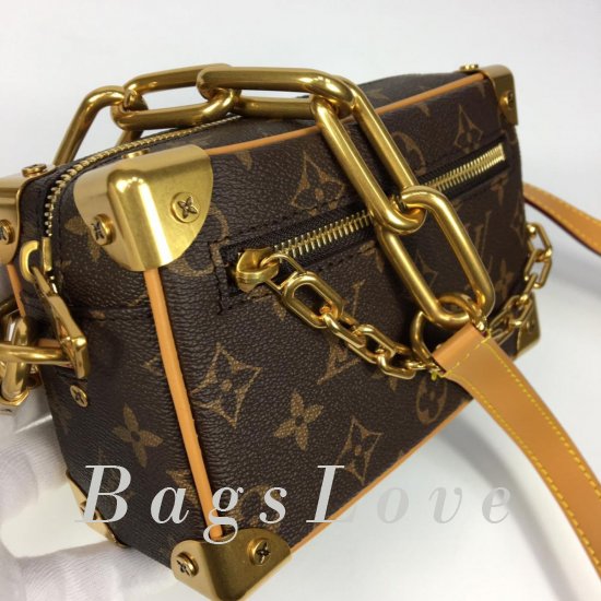 Женская сумка Louis Vuitton (Луи Виттон) BЭ1105556