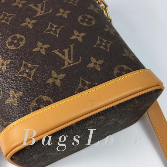 Женская сумка Louis Vuitton (Луи Виттон) BЭ1105557