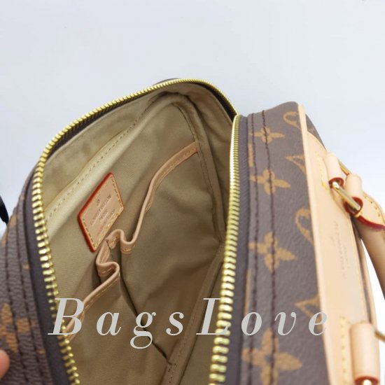 Женская сумка Louis Vuitton (Луи Виттон) B106002