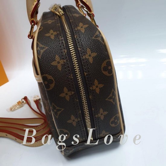 Женская сумка Louis Vuitton (Луи Виттон) B106002