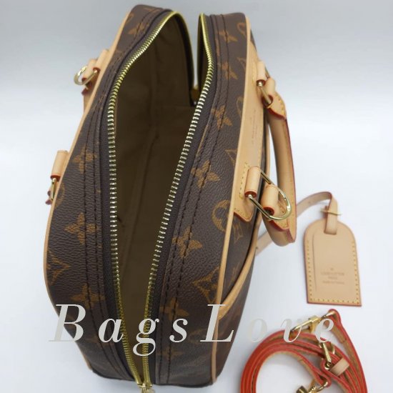 Женская сумка Louis Vuitton (Луи Виттон) B106002