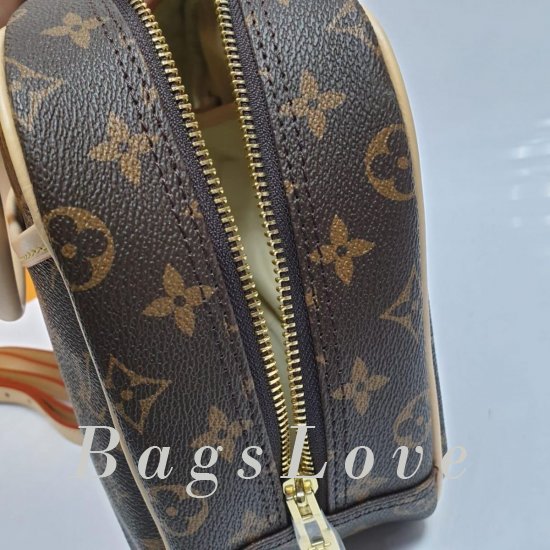Женская сумка Louis Vuitton (Луи Виттон) B106002
