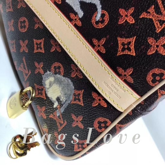 Женская сумка Louis Vuitton (Луи Виттон) B106005