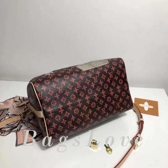 Женская сумка Louis Vuitton (Луи Виттон) B106005