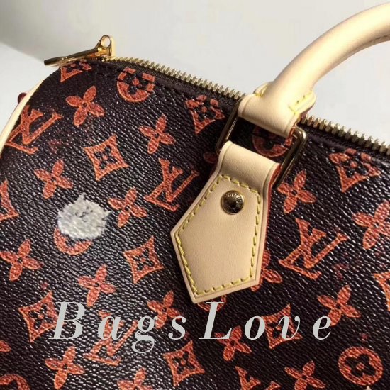 Женская сумка Louis Vuitton (Луи Виттон) B106005