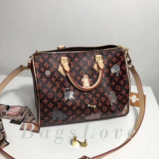 Женская сумка Louis Vuitton (Луи Виттон) B106005