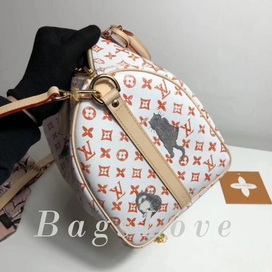 Женская сумка Louis Vuitton (Луи Виттон) B106006