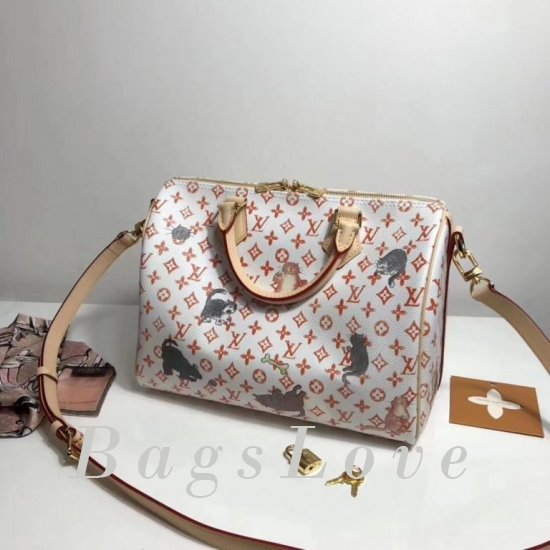 Женская сумка Louis Vuitton (Луи Виттон) B106006