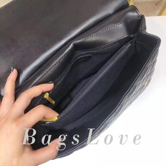 Женская сумка Chanel (Шанель) B106016