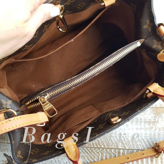 Женская сумка Louis Vuitton (Луи Виттон) B106018