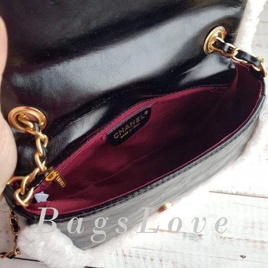 Женская сумка Chanel (Шанель) B106021