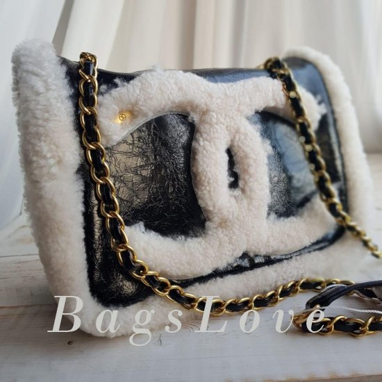 Женская сумка Chanel (Шанель) B106021