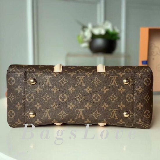 Женская сумка Louis Vuitton (Луи Виттон) B106023