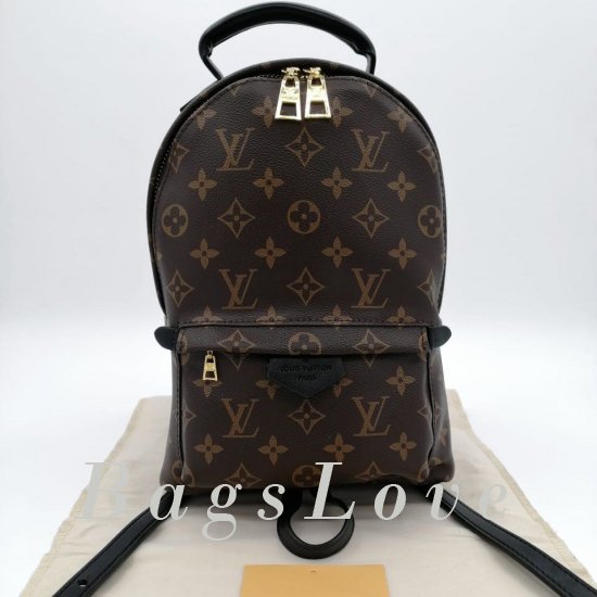 Женский рюкзак Louis Vuitton B106080