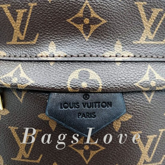 Женский рюкзак Louis Vuitton B106080