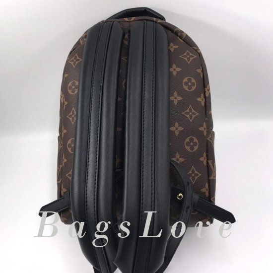 Женский рюкзак Louis Vuitton B106080