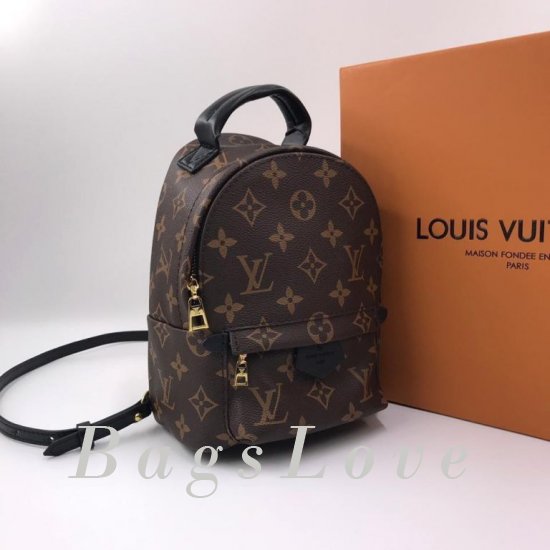 Женский рюкзак Louis Vuitton B106081