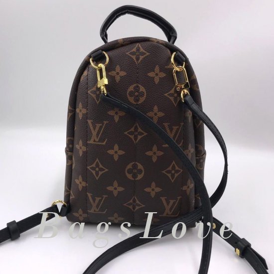 Женский рюкзак Louis Vuitton B106081
