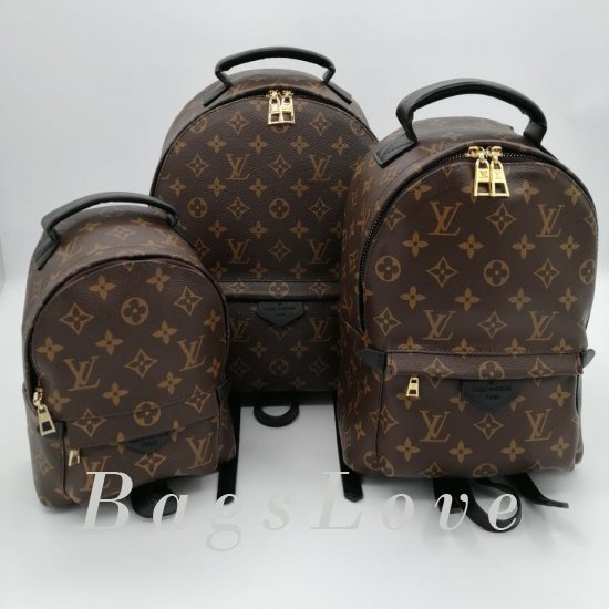 Женский рюкзак Louis Vuitton B106081