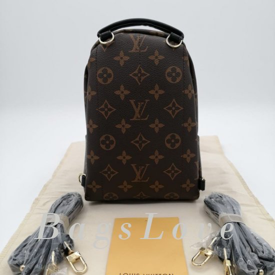 Женский рюкзак Louis Vuitton B106081