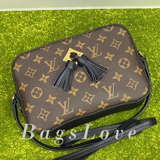 Женская сумка Louis Vuitton (Луи Виттон) BЭ1105651