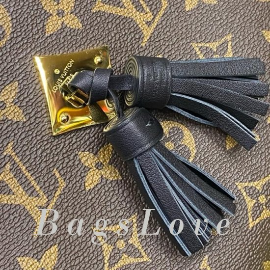 Женская сумка Louis Vuitton (Луи Виттон) BЭ1105651