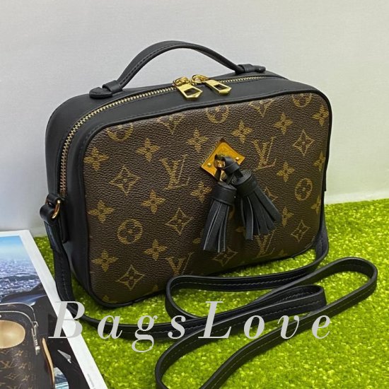 Женская сумка Louis Vuitton (Луи Виттон) BЭ1105651