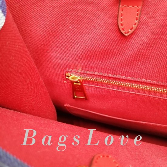 Женская сумка Louis Vuitton (Луи Виттон) BЭ1105654