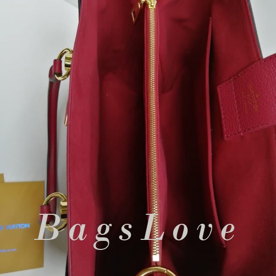 Женская сумка Louis Vuitton (Луи Виттон) BЭ1105656