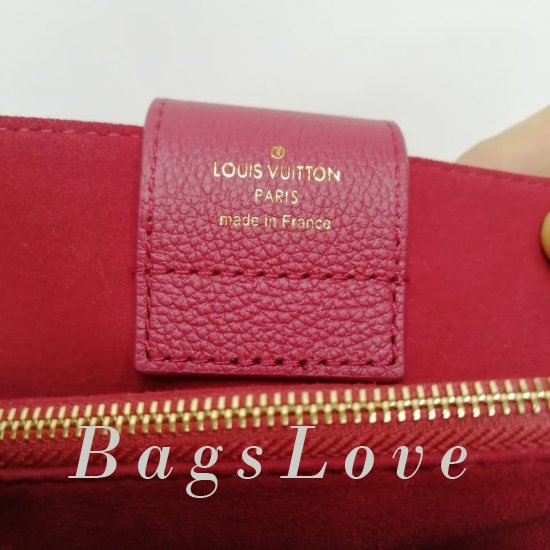 Женская сумка Louis Vuitton (Луи Виттон) BЭ1105656