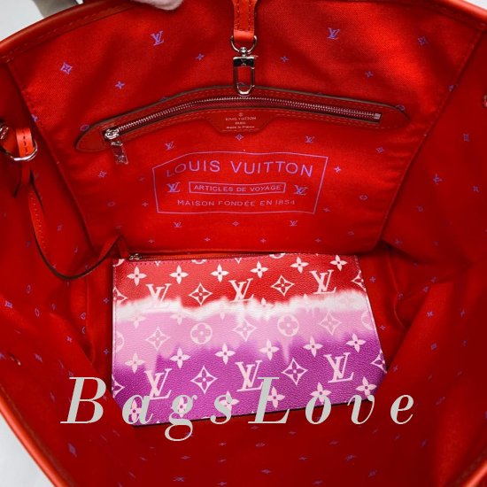 Женская сумка Louis Vuitton (Луи Виттон) BЭ1105674