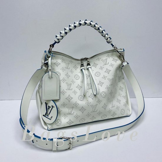 Женская сумка Louis Vuitton (Луи Виттон) BЭ1105681