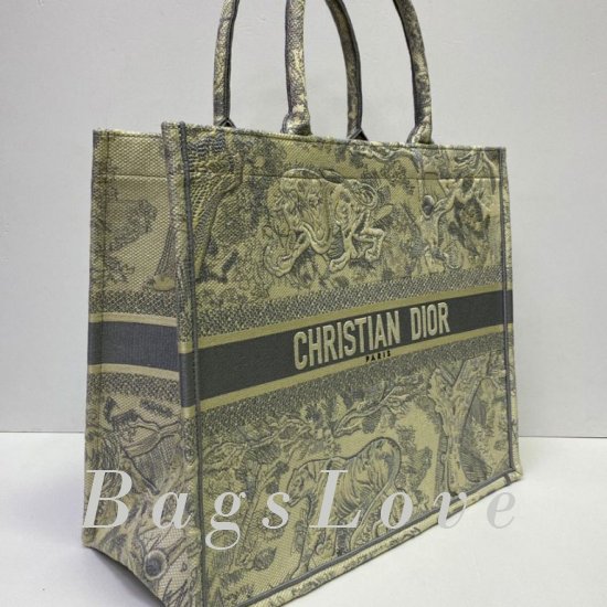 Женская сумка Christian Dior (Кристиан Диор) BЭ1105684