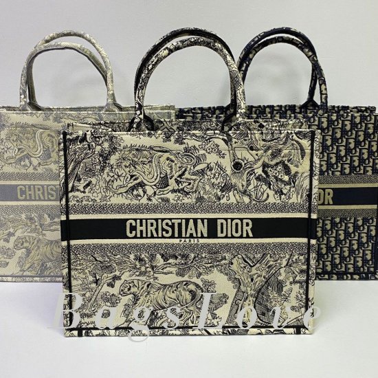 Женская сумка Christian Dior (Кристиан Диор) BЭ1105684
